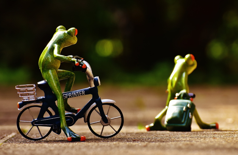 mode of transportation, no people, green, go, animal, side view, frogs, nature, single object, travel, bicycle, trolley, human representation, representation