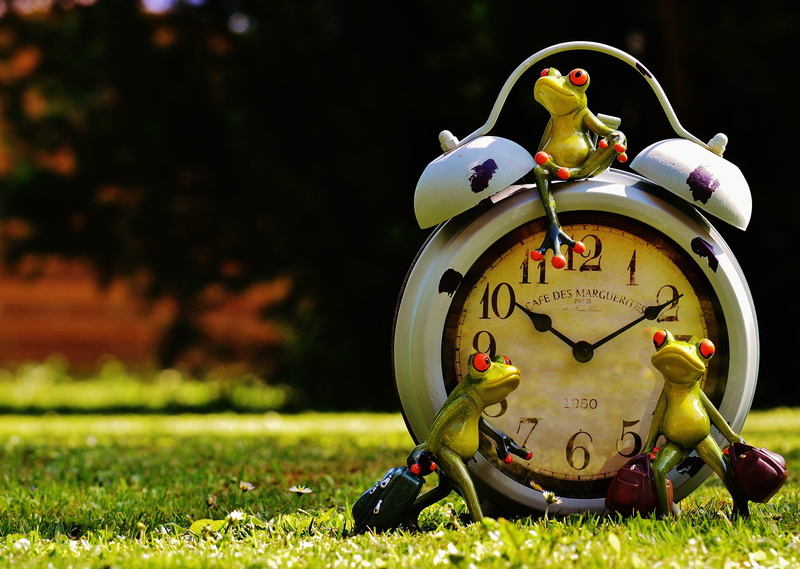 day, time to go, selective focus, funny, clock, 5K, green, field, art stone, go away, animal, laugh, humor, accuracy, new beginning, no people, on the go