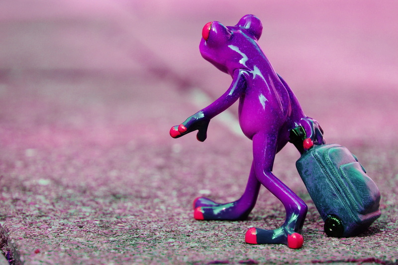 figure, purple, toy, plant, travel, full length, representation, pink color, luggage, sweet, selective focus, close-up, funny, cute, holdall, animal, day