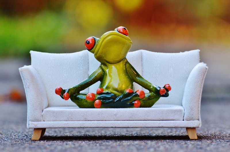 nature, cute, fruit, sofa, relaxation, wellbeing, white, funny, freshness, indoors, bell pepper, fun, amphibian, rest, sweet, concerns, figurine, ceramic