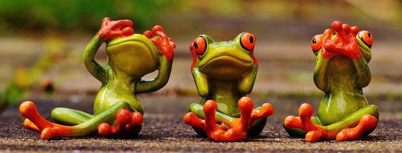 focus on foreground, green color, fun, sit, vegetable, bell pepper, funny, not see, do not speak, frogs, pepper, 5K, street, animal, food, not hear, spice