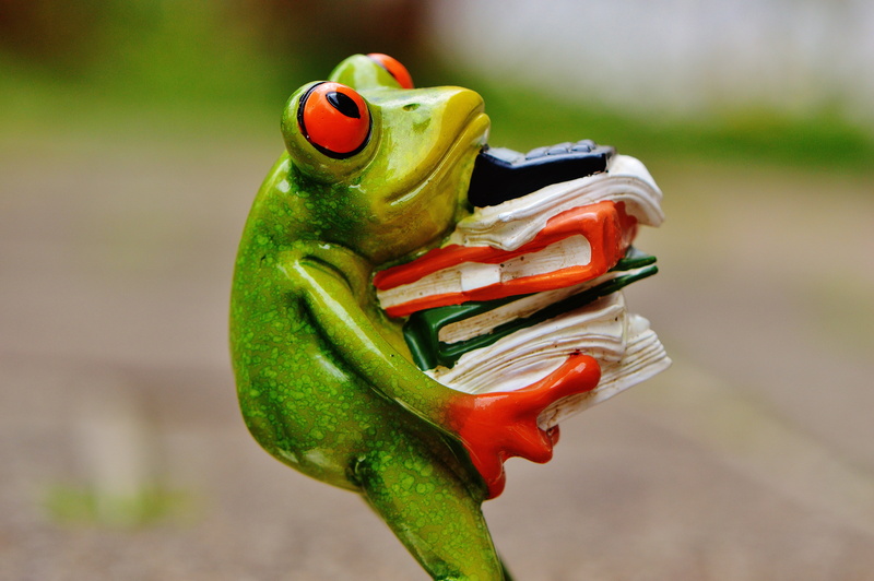 nature, stack, animal wildlife, files, animal themes, decoration, calculator, frog, book, outdoors, red, food, one animal, day, amphibian, green, figurine