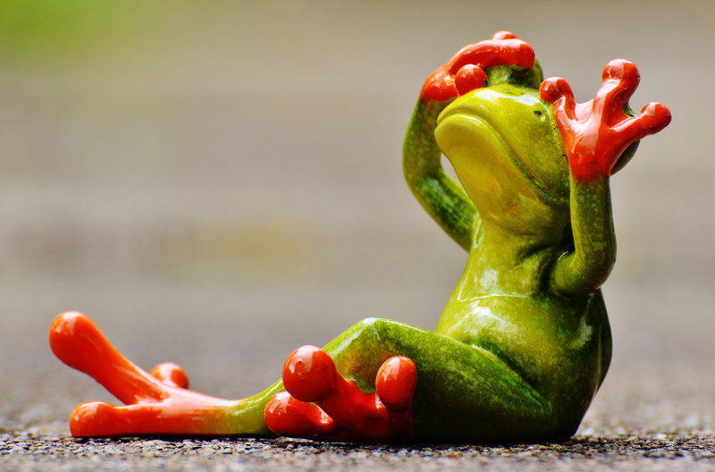 bell pepper, frog, animal, chili pepper, red, covering, vegetarian food, focus on foreground, 5K, no people, food, paprika, fun, tree, frogs, green color
