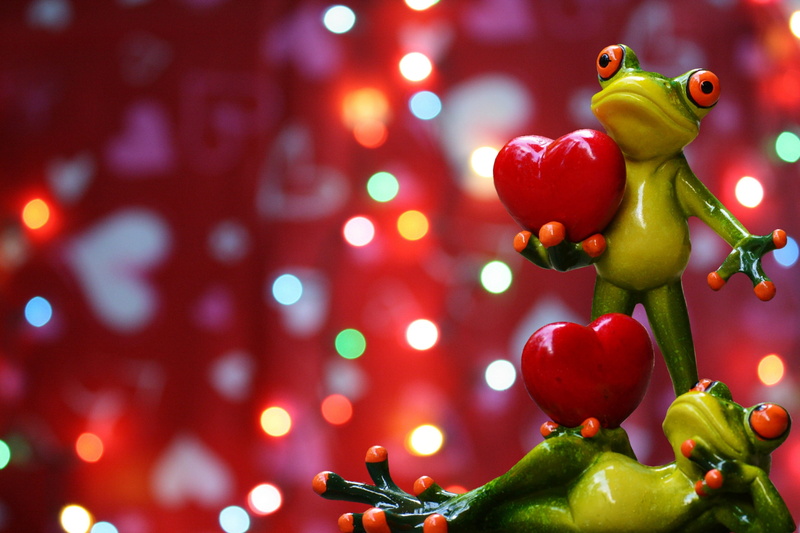 couple, indoors, 2K, marriage proposal, freshness, romance, together, fun, decoration, connection, d, cute, selective focus, romantic, vegetable, valentines day