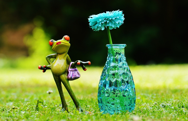 plant, nature, outdoors, figurine, glass, frogs, green Color, fun, figure, 5K, meadow, food, summer, near, tree, handbag, decoration, no people, flower