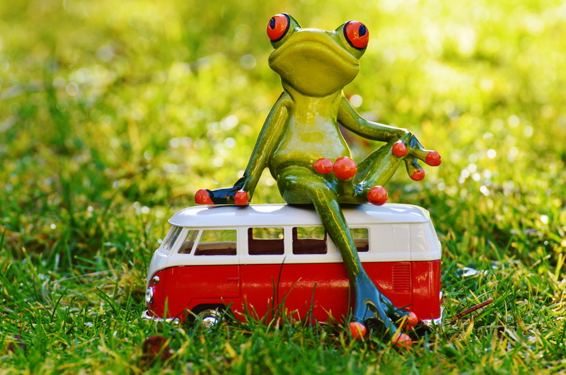camper, animal representation, creativity, animal, photography, fun, bulli, forced, riding, volkswagen, outdoors, plant, go away, nature, red, holidays