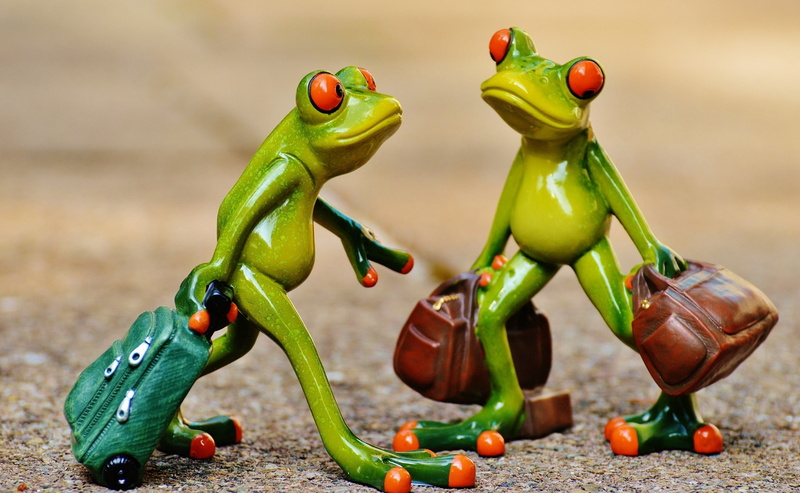 fruit, spice, close-up, wood - material, food, two, freshness, no people, vegetable, frog, Holdall, Travel, GoAway, healthy eating, table, representation