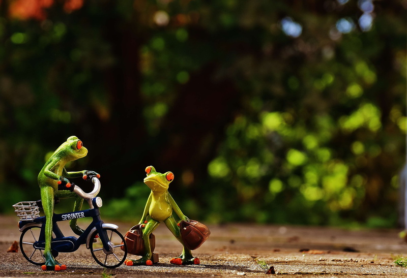 frog, holdall, toy, creativity, sweet, go, fig, luggage, male likeness, focus on foreground, cute, on the go, sad, plant, see you again, frogs, 4K, full length