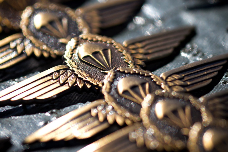 metal, studio shot, no people, silver colored, animal wildlife, skill, army, bundeswehr, table, animal themes, military, pin, nature, sea, selective focus