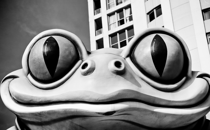 illinois, close-up, 5K, body part, leaving, near, high, obscured face, mask - disguise, Chicago, one person, portrait, human face, thoughts, United States of America