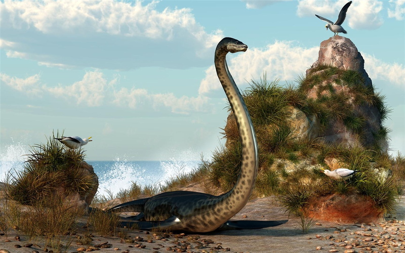inhabited, animal themes, end, water, nature, 4K, period, group of animals, two animals, tree, vertebrate, animal neck, animals in the wild, ago, reptiles