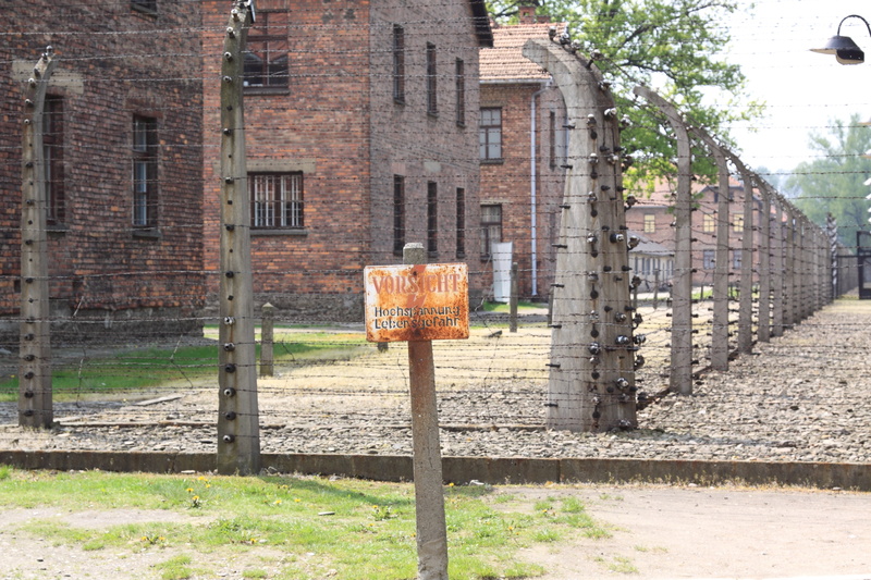 brick wall, nature, brick, street, building, poloni, outdoors, architecture, day, 4K, window, house, city, old, no people, residential district, built structure