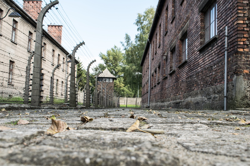 sadness, brick, animal themes, building exterior, day, residential district, world war, buildings, nazism, old, holocaust memorial, plant, barbed wire