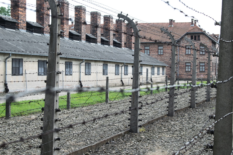 tourist destination, holocaust memorial, nazism, culture, Architecture, security, suffering, birkenau, 1945, accommodation, 5K, sadness, camp, protection