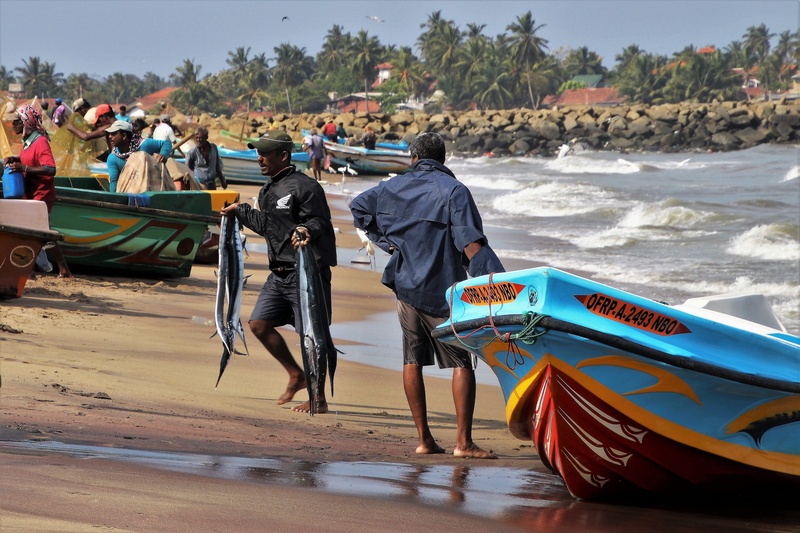 waves, surfing, exotica, spitting water, 4K, the ship, ocean, the fisherman, men, land, male, sea foam, total, a fishing village, legs, near, sri lanka