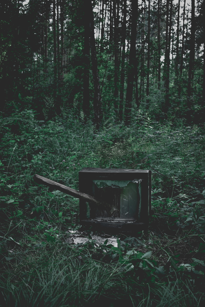 sledgehammer, non-urban scene, old, dark forest, forest, green color, screen, woodland, seat, day, television, tv, aqua green, hammer, tree, field, nature