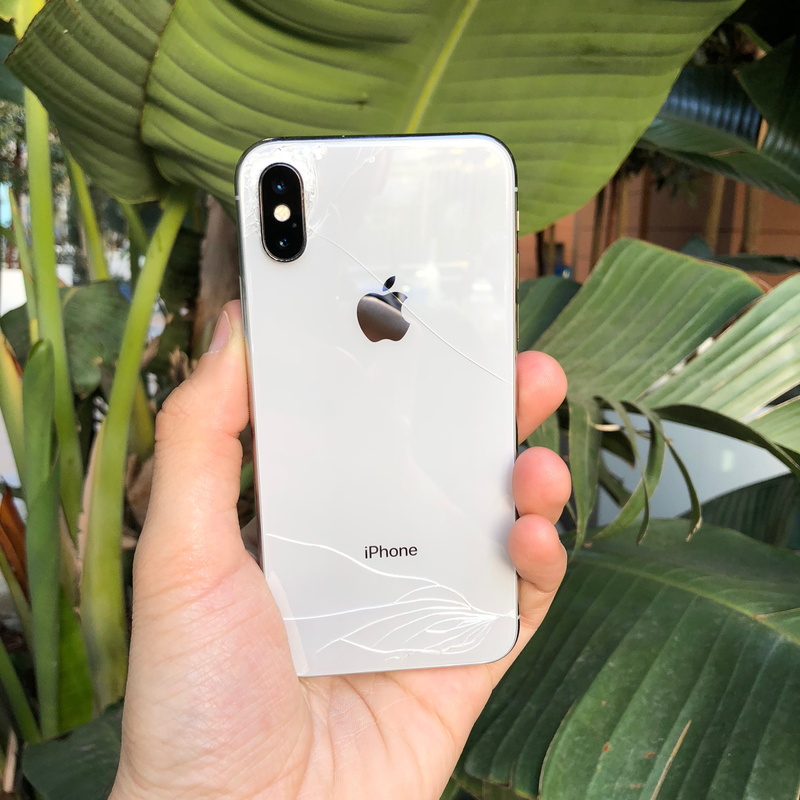 outdoors, human body part, human hand, nature, glass, hand, iphone x, plant, 2K, focus on foreground, finger, apple, san jose, communication, leaf, holding