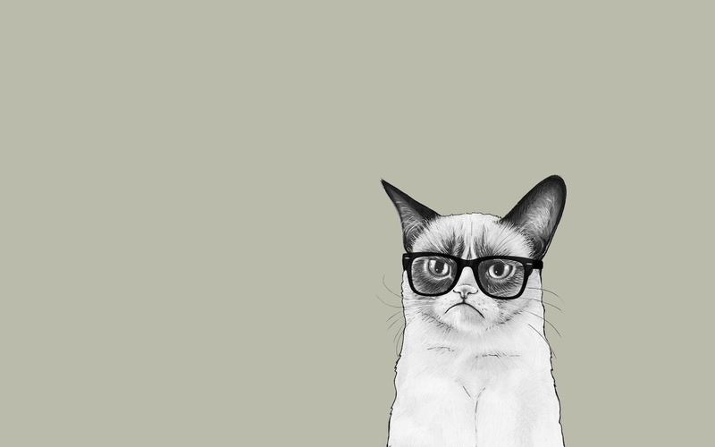 Grumpy Cat, Cat, Minimalist, Cats, 1080P