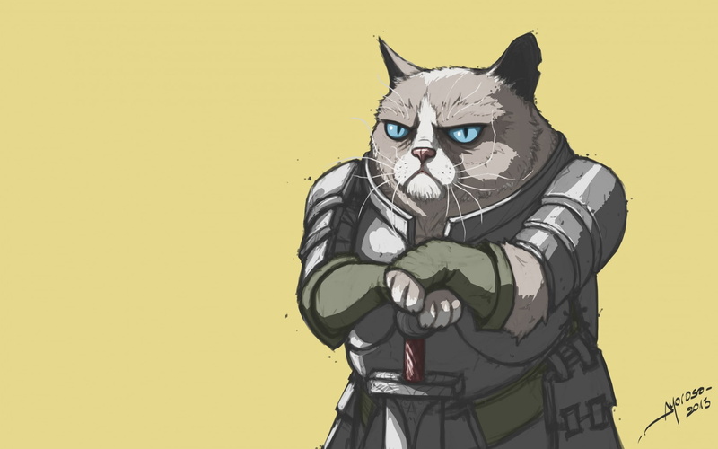 armor, grumpy, meme, cat, 720P