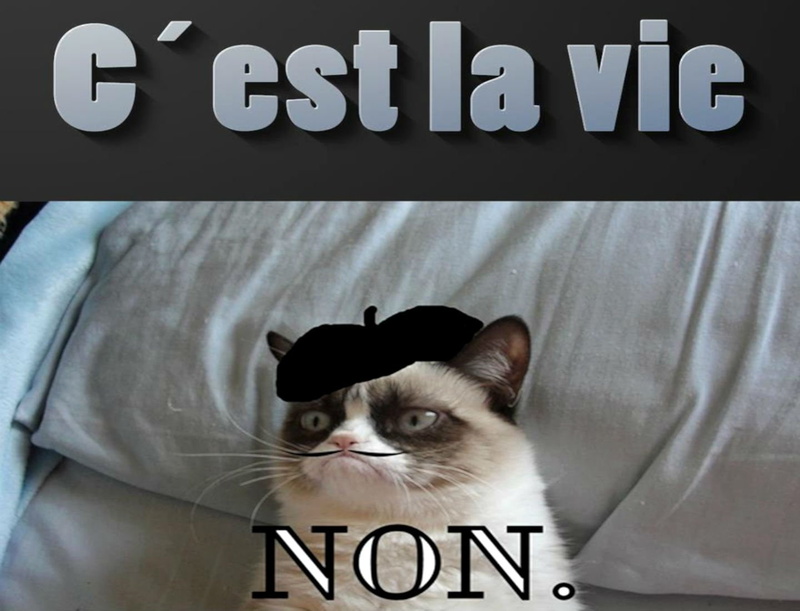 quote, cat, french, meme, 720P, grumpy, sadic, humor, funny