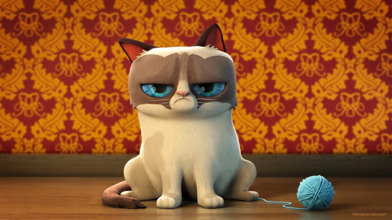720P, 112, grumpy, quote, cat, humor, meme, funny