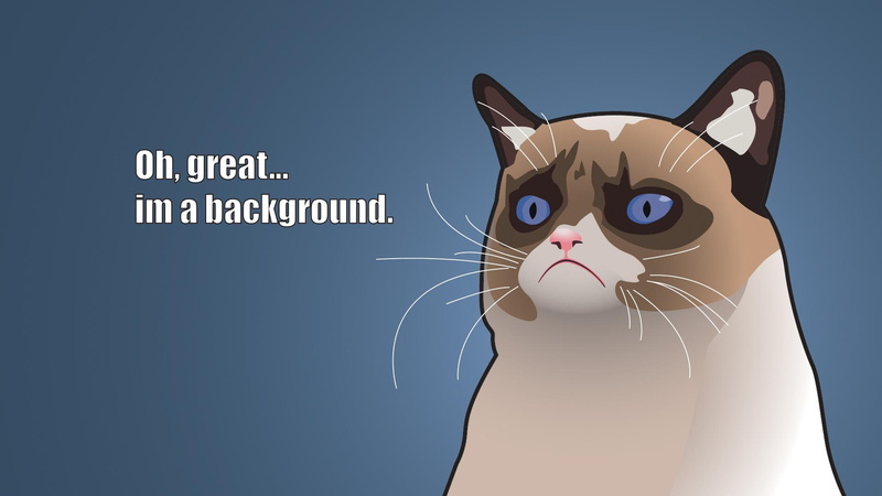 angry kitty, tardar, angry, sauce, 1080P, cat, kitty, art, tardar sauce, grumpy, grumpy cat