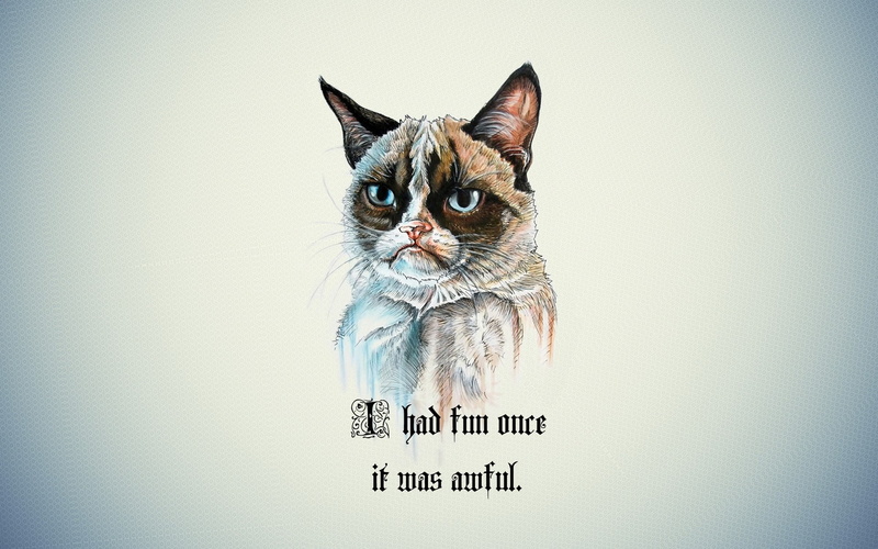 quote, cartoon, typography, Grumpy Cat, humor, 1080P, animals, simple background