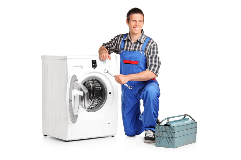 occupation, washer, males, holding, indoors, clean, white, cheerful, studio shot, laundromat, young Adult, cleaning, people, standing, adult, domestic Life