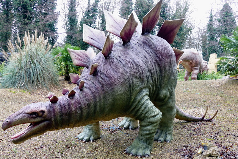 reptile, history, no people, triceratops, Animal, monster, fauna, animal wildlife, predator, toy, dino, tyrannosaurus, museum, mammal, pets, field, black