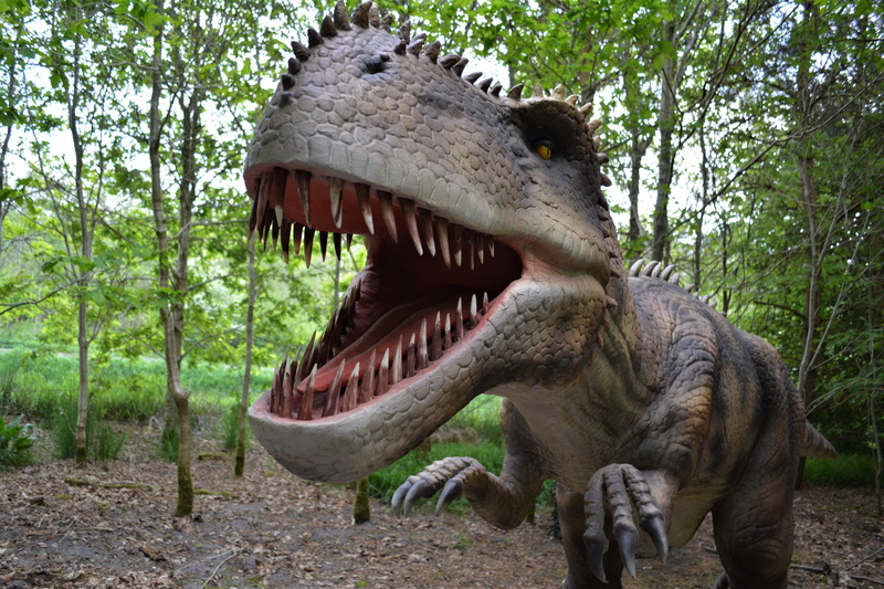 forest, dino-park, no people, prehistoric times, animal wildlife, one animal, predator, animals in the wild, animal head, tree, netherlands, reptile, holland