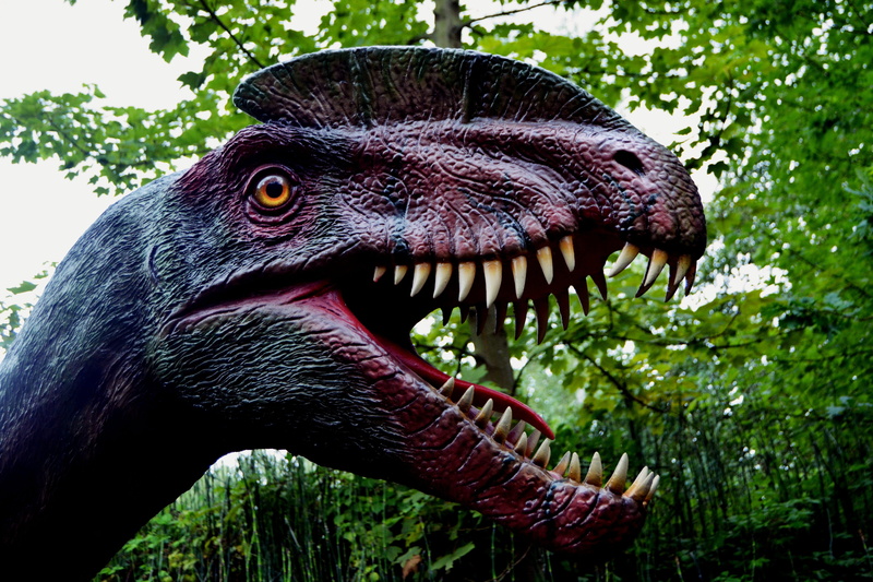 aggression, predator, mouth, one animal, no people, tree, day, animal teeth, dino-park, animal themes, animal wildlife, mouth open, vertebrate, animals in the wild