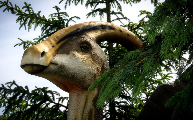dinosaur, low angle view, prehistoric times, animal head, no people, age, extinct, one animal, tooth, branch, mammal, close-up, herbivorous, nature, animals in the wild