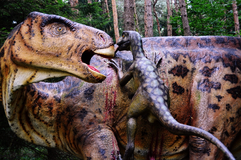 art and craft, animal, day, hagbard, close-up, carnivorous dinosaurs, 5K, nature, animal representation, representation, animals in the wild, anger, aggression