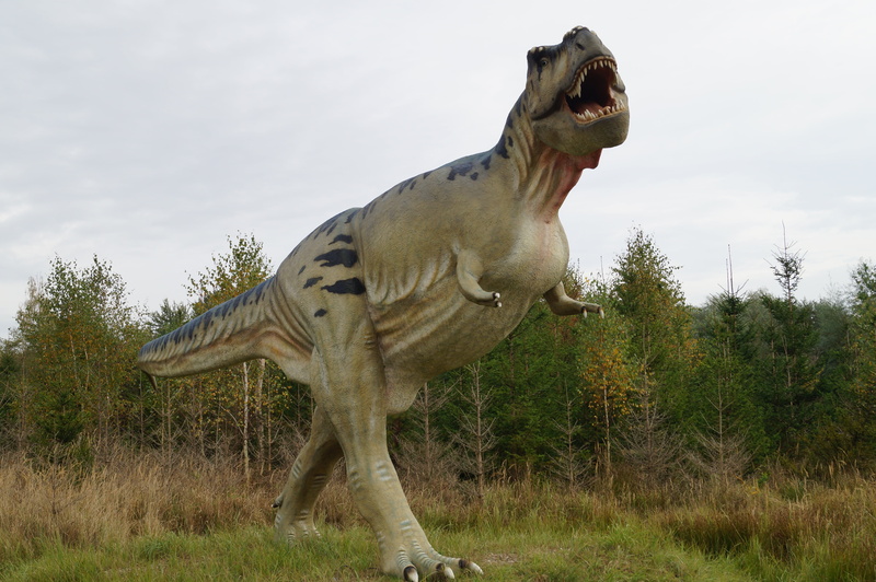 day, animal wildlife, 4K, green, t rex, carnivores, animal mouth, plant, nature, land, tree, tyrannosaurus rex, field, one animal, mammal, animals in the wild