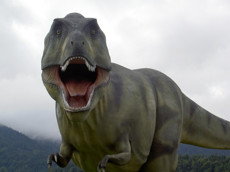 roaring, animal wildlife, tree, brutal, facial expression, nature, mouth, power, fear, animal head, day, artificial, mountain, one animal, t rex, standing