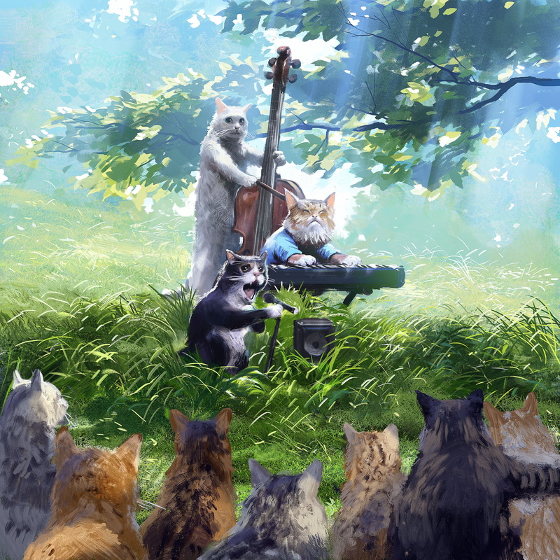 nature, trees, grass, 2K, cats, memes, humor