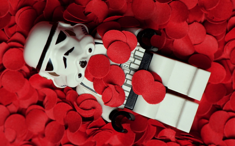 lego, flowers, wars, beauty, stormtroopers, petals, 1080P, star, x, hd, american, art, nature, Star Wars, rose
