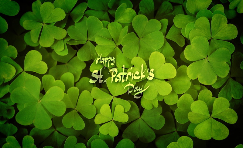 full frame, leaf, Holidays, no people, Clover, communication, high angle view, plant, Green, western script, day, Lucky, 1080P, patricks, green color