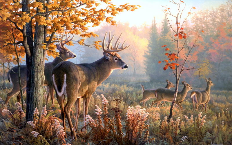 2K, Greg Alexander, animals, s, painting, illustration, brown, throw, deer, caution, Throw Caution to the Wind, wind