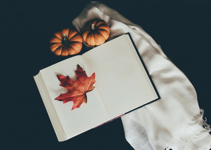holding, one person, cozy, copy space, leaf, human body part, open book, hand, publication, finger, nature, black background, dried, orange color