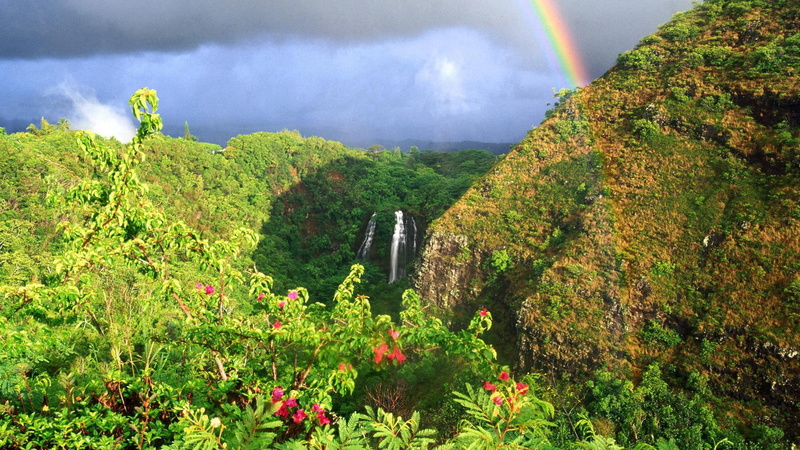 nature and landscapes, flowers, clouds, opaekaa, 1080P, forest, hawaii, rainbow, falls