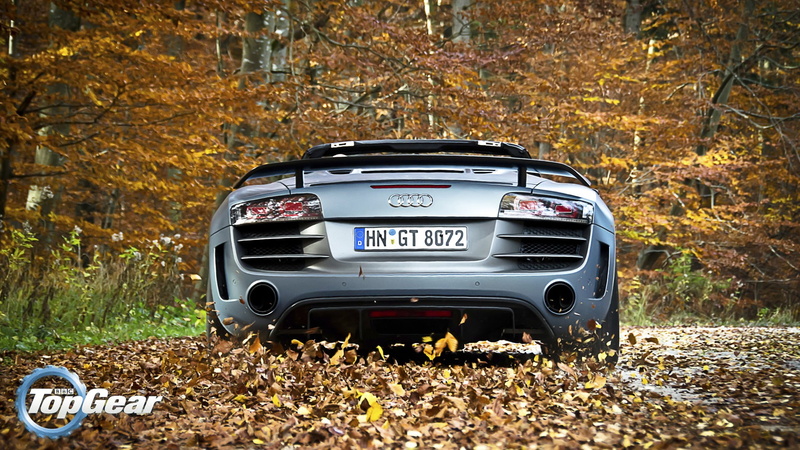 leaves, 1080P, motor vehicle, plant, tree, plant part, land, outdoors, gray, car, Audi R8, dry, leaf, forest, nature, Audi, field, vehicle, day, land vehicle