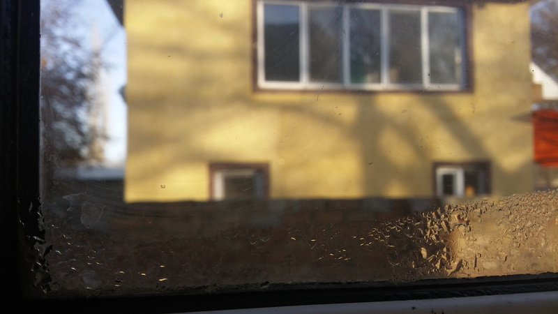 blurred, window ledge, home(localhost), wall, house, 4K