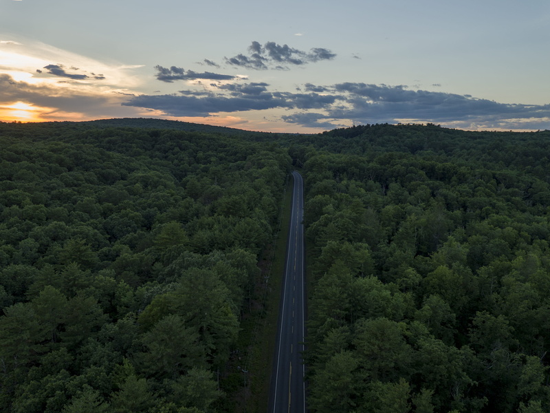 green color, landscape, non-urban scene, forest, greenery, green, beauty in nature, trees, scenics - nature, road, idyllic, united states, tree, sky, tranquil scene