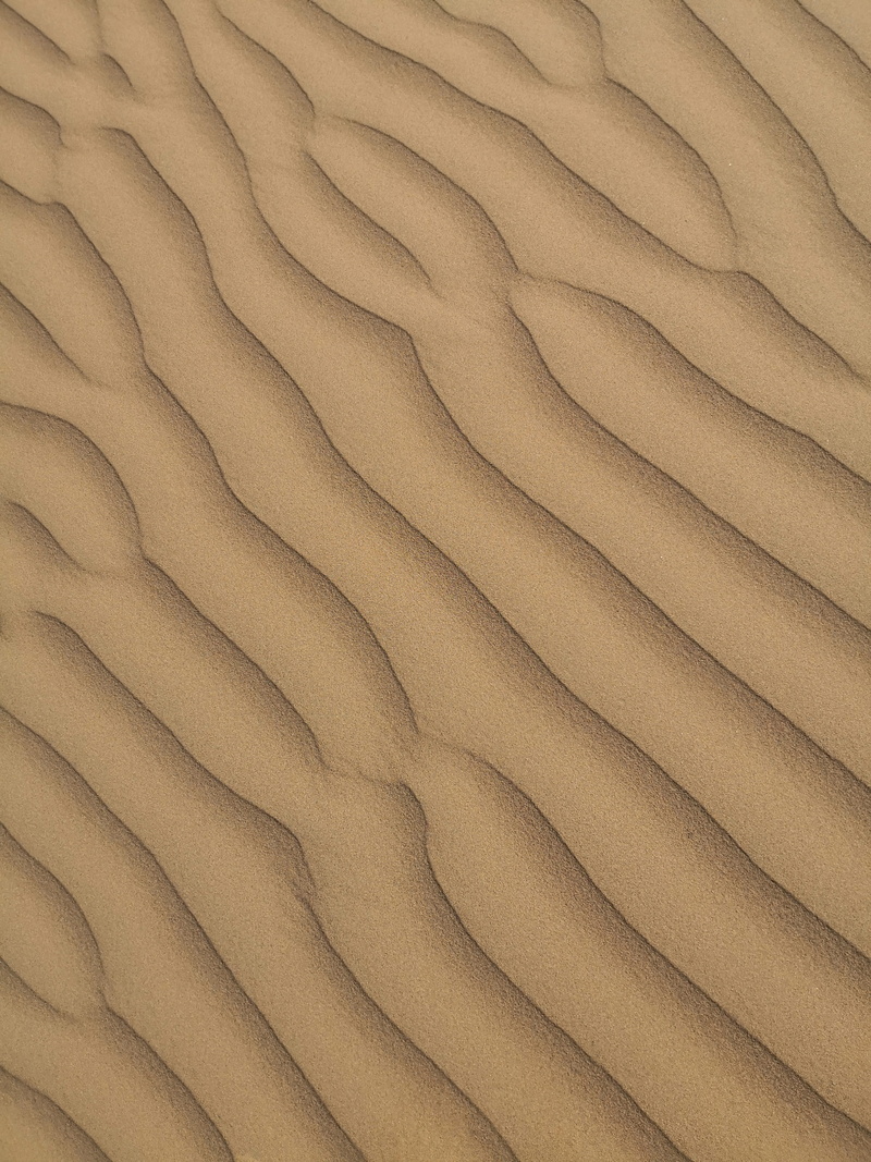 textile, wood - material, iran, khaki, arid climate, wood, no people, close-up, hd backgrounds, natural pattern, 5K, brown, pattern, tabas, full frame