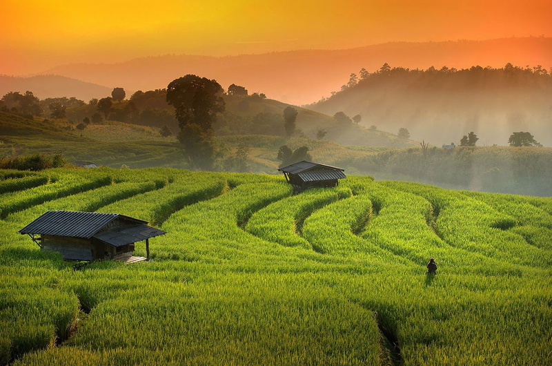 Sunset, terrace, pa bong peing, rice, chaing, Thailand, 720P, chiang mai, ray, mai, field, Autumn, green