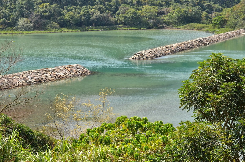 village, outdoors, beauty in nature, growth, sai kung, tranquility, bridge, nature, 1080P, green color, yung shue, scenics - nature, artist bong shing