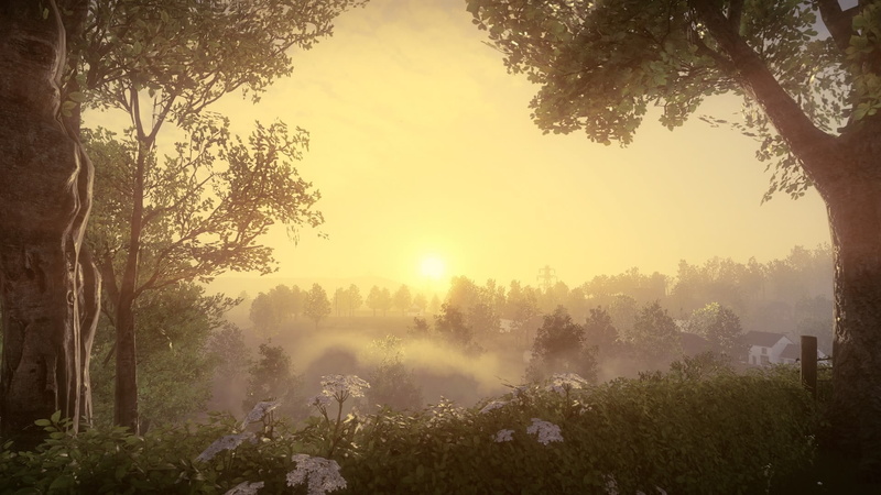fog, sky, environment, 1080P, outdoors, tranquil scene, plant, sun, in-game, Everybodys Gone to the Rapture, tree, sunset, beauty in nature, nature, green