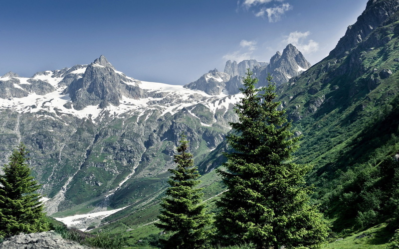 1080P, something beautiful nature  1920x1200