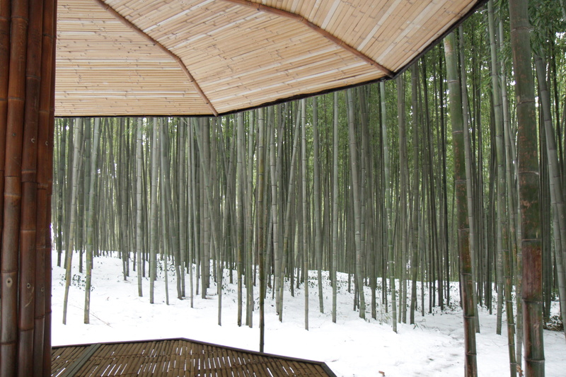 bamboo - plant, no people, protection, bamboo, field, namwon, belvedere, architecture, covering, wood - material, plant, roof, tranquility, winter, nature